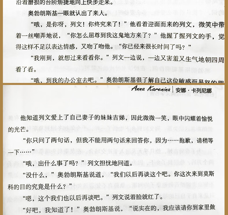 安娜卡列尼娜正版书籍全本无删减列夫托安娜名著尼娜卡列文学尔斯泰著名家名译经典文学世界名著原汁原味读名著9- 安娜卡列尼娜 无规格详情图片9