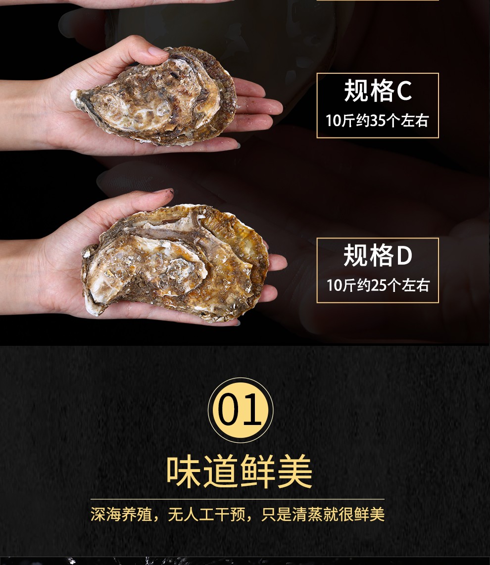 鲜活南泓村鲜活生蚝乳山生蚝海蛎子生鲜贝类刺身生蚝5kgd规格约28个