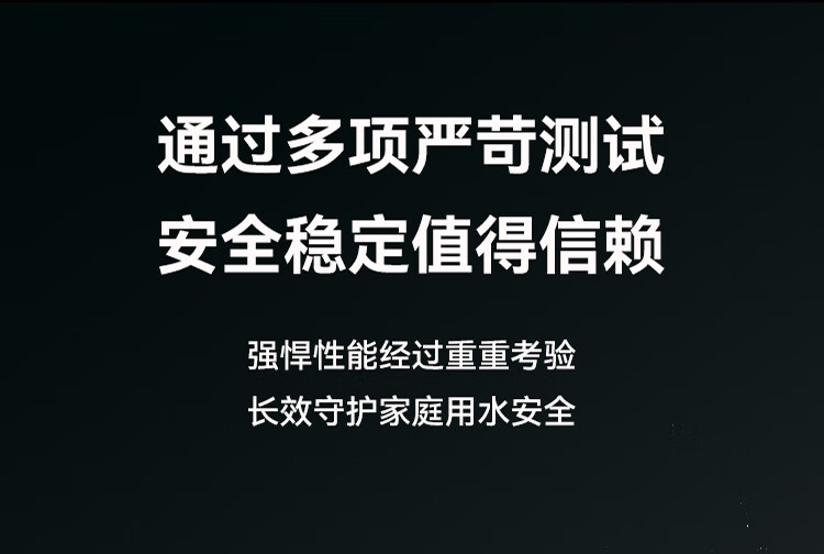 施尔前置盒子24年全新一代前置过滤器过滤前置可视化纳污全自动双滤芯过滤可视化纳污仓全自动过滤详情图片39