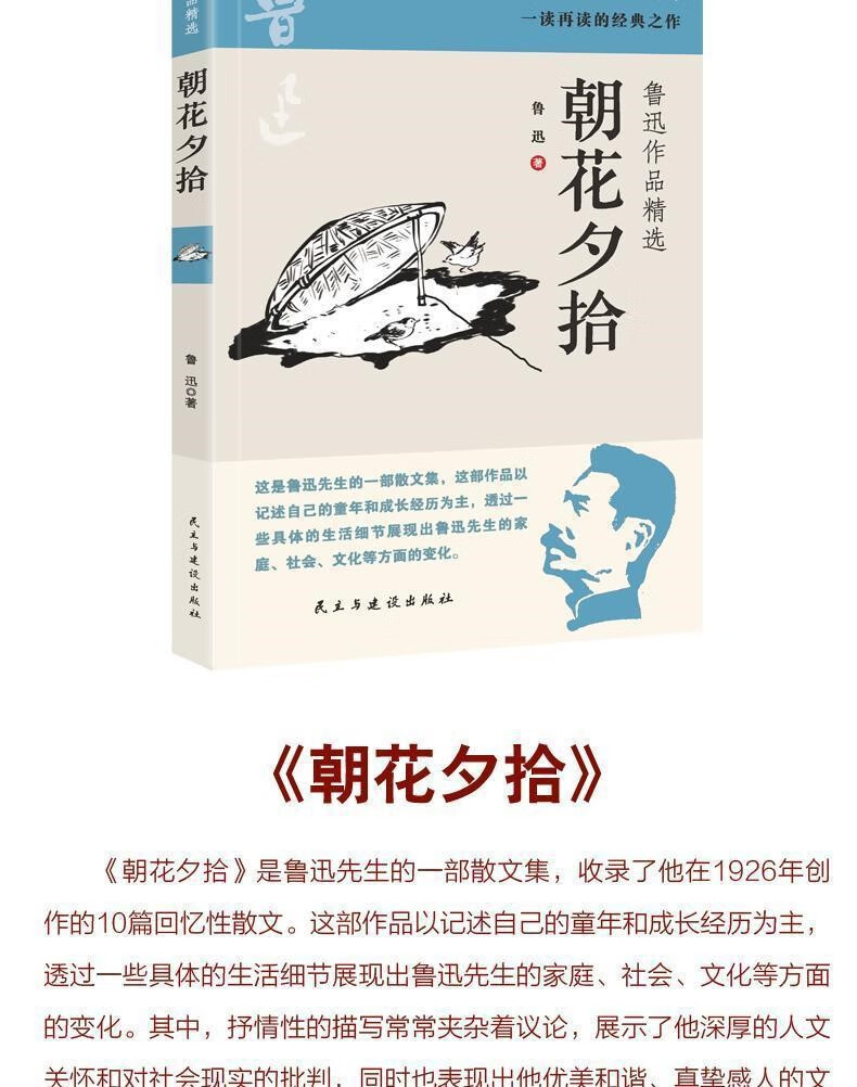 鲁迅全集全10册朝花夕拾故事新编热风10册鲁迅全集彷徨杂文集呐喊野草呐喊彷徨经典作品杂文集 鲁迅全集全10册详情图片2