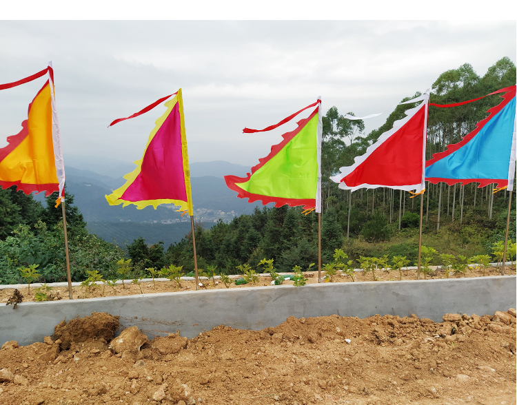 纯色红旗五色彩旗三角队旗车队引路祭祀户外防水路边布置庆典旗帜 红