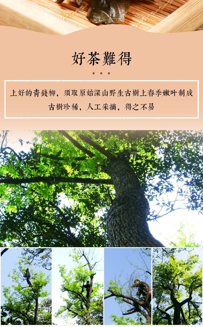 64d51cac10056d0c.jpg