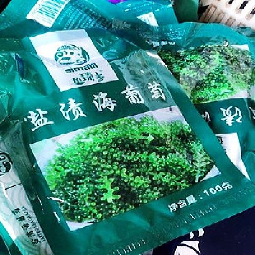 海葡萄100g新鲜即食海白菜盐渍海洋蔬菜绿色鱼子酱长寿菜华海春 海