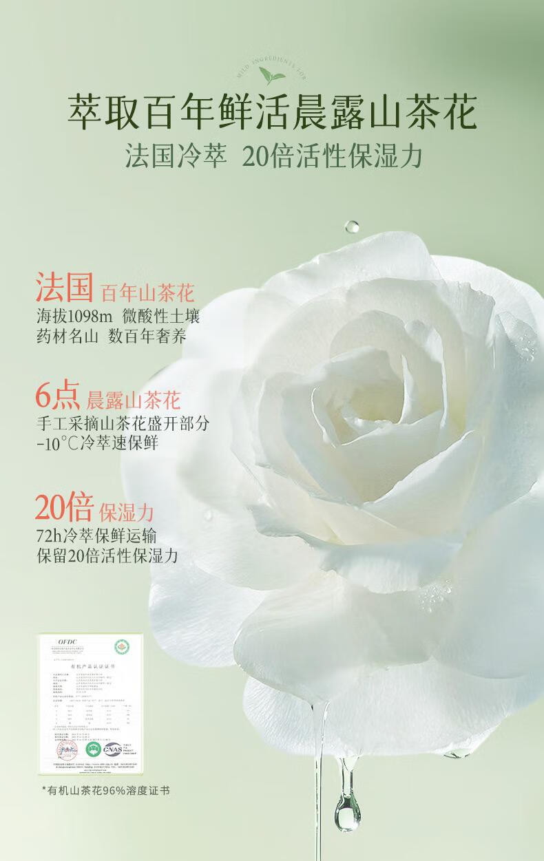BUV山茶花护手霜长效保湿滋润冬季防干裂持久留香提亮烟酰胺38节礼物 【第三支零元】山茶花护手霜150g