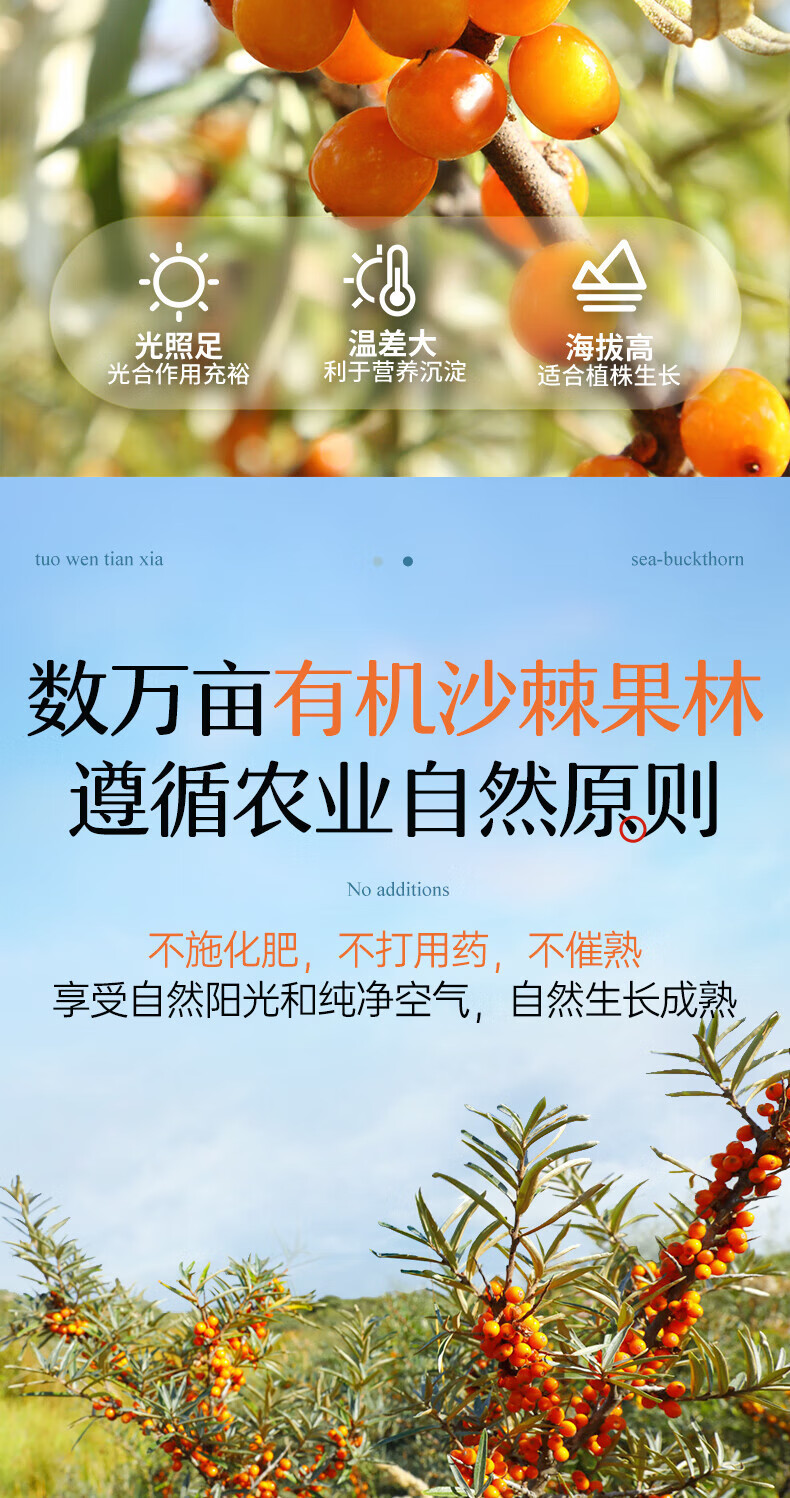 adcce8bbb884517c.jpg