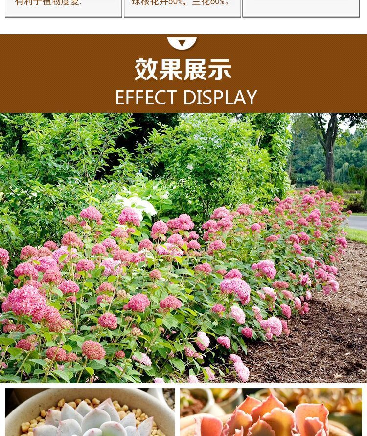 【精品绿植】日本进口鹿沼土颗粒土植物介质兰花杜鹃花专用营养土多肉