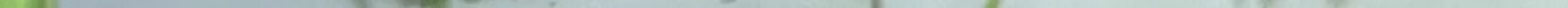 ebb16b6438f58adb.jpg