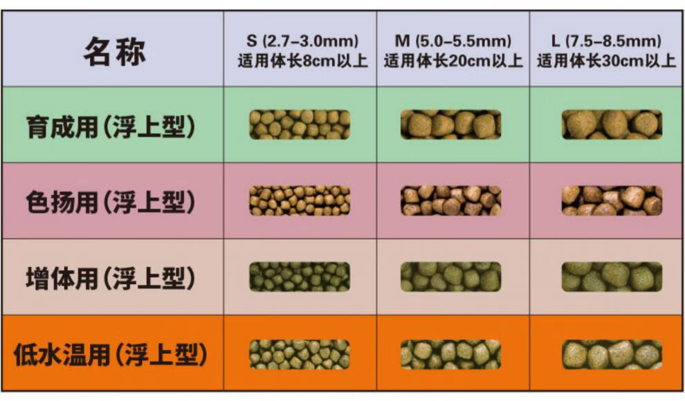 db184a36421634ca.jpg