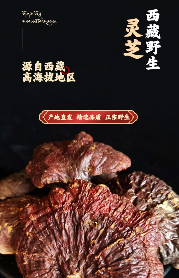 767a7a3c0bb335bb.jpg