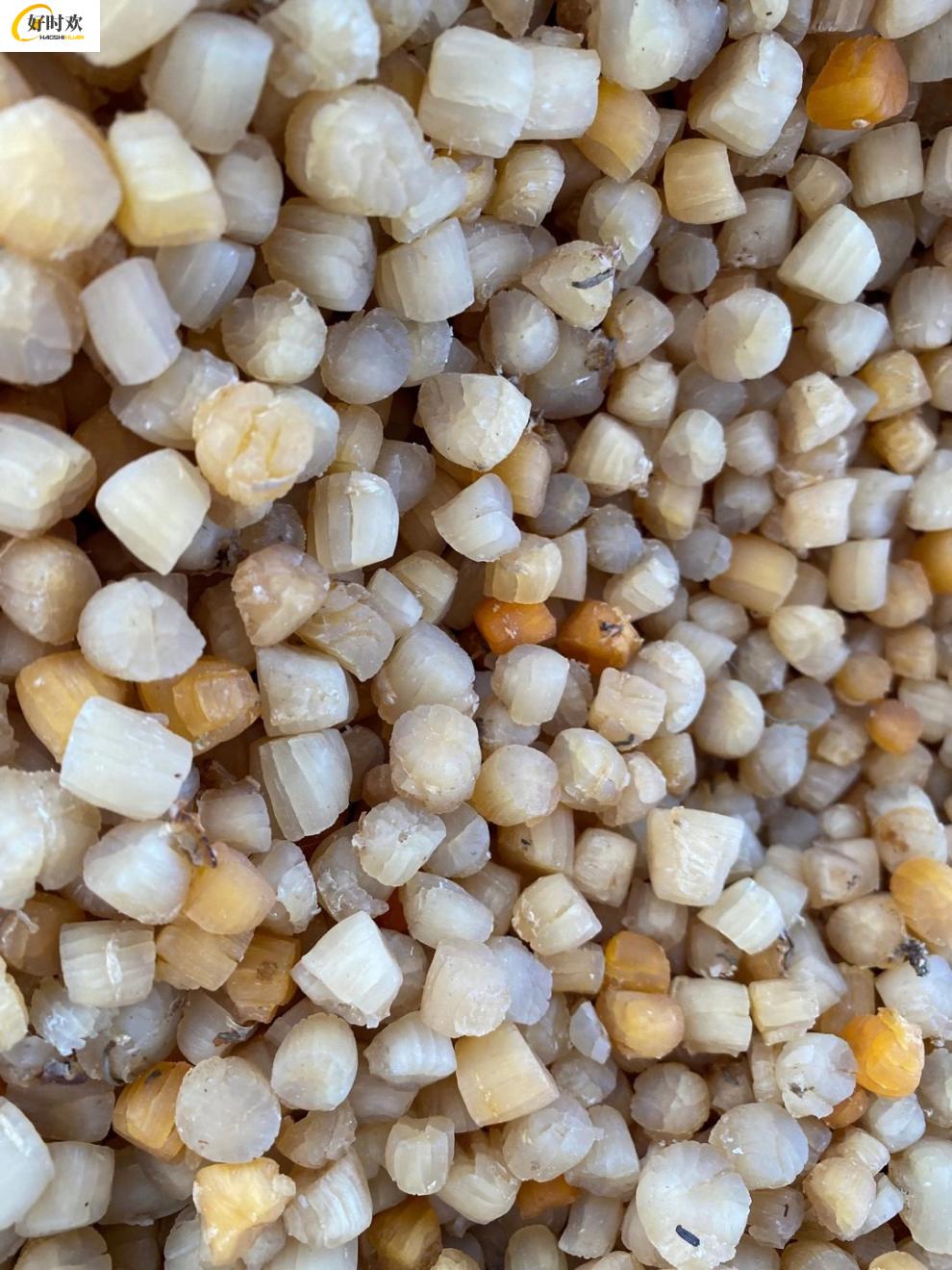长岛金钩海米淡干小海鲜干货特级开洋虾仁虾皮500克无盐即食 金钩海米