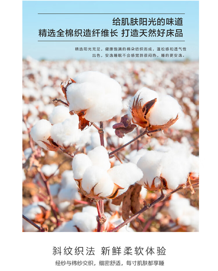 找家纺所有-7.jpg