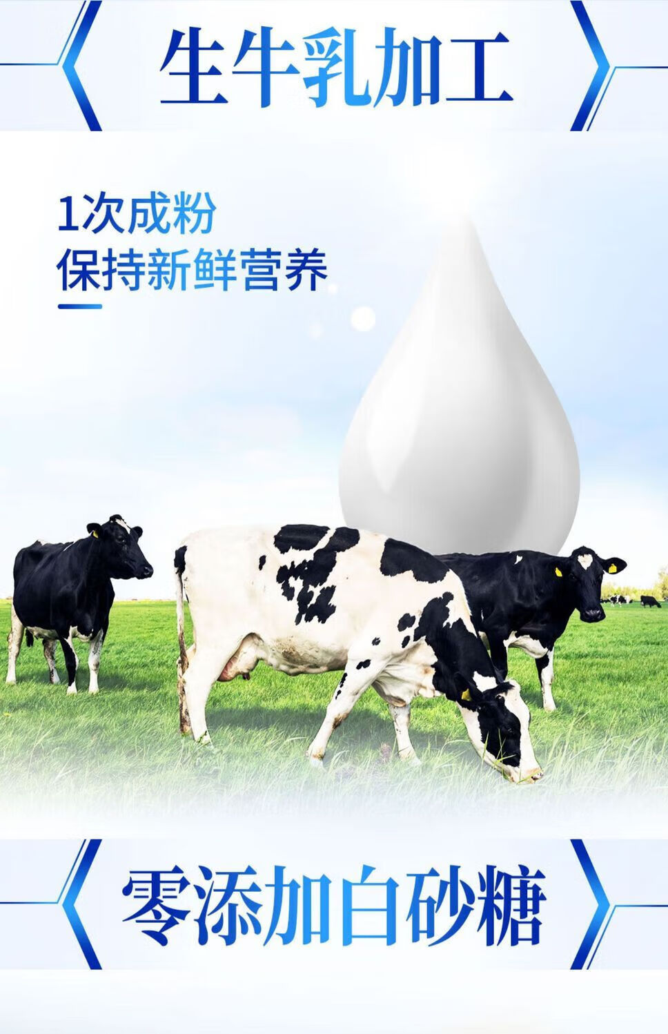 6c5053a97994dcc3.jpg