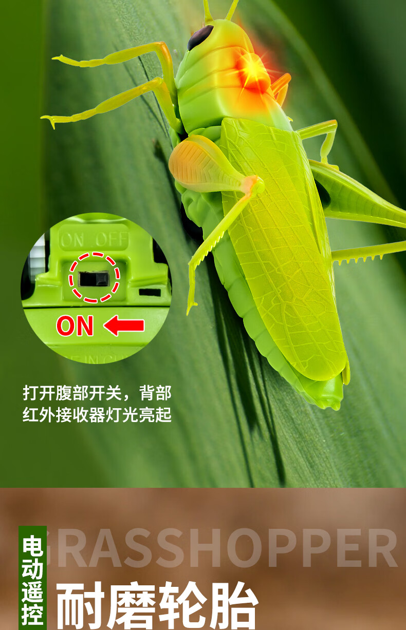 c862bdc160321ed7.jpg