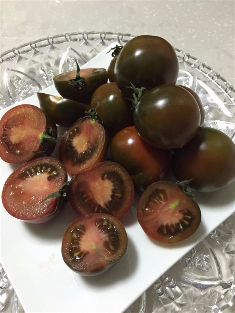 轻恋辽宁盘锦东北黑珍珠美人西红柿 2.