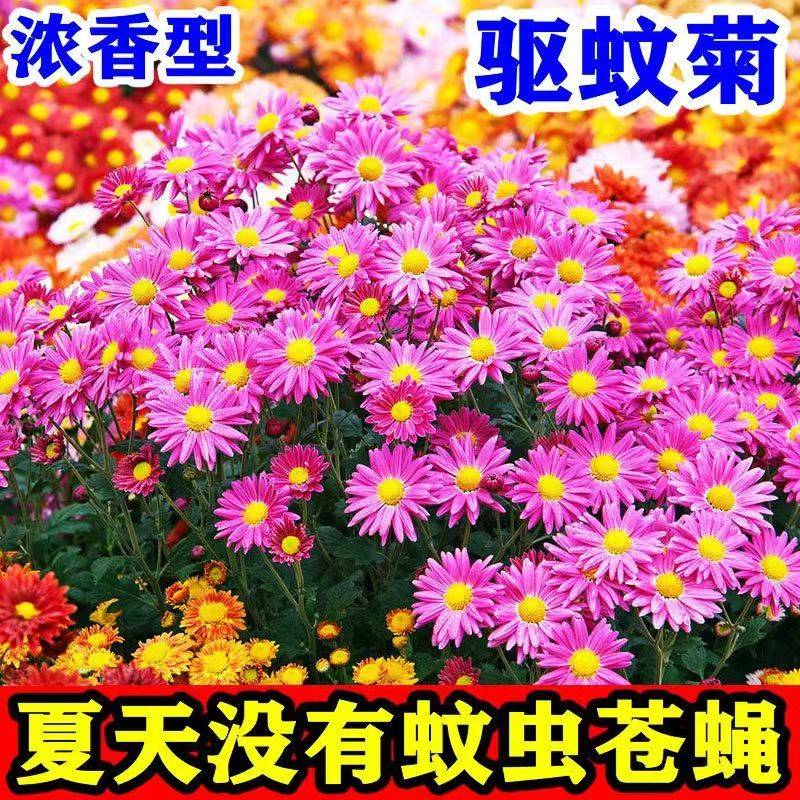 d3cbc9472cfd8bea.jpg