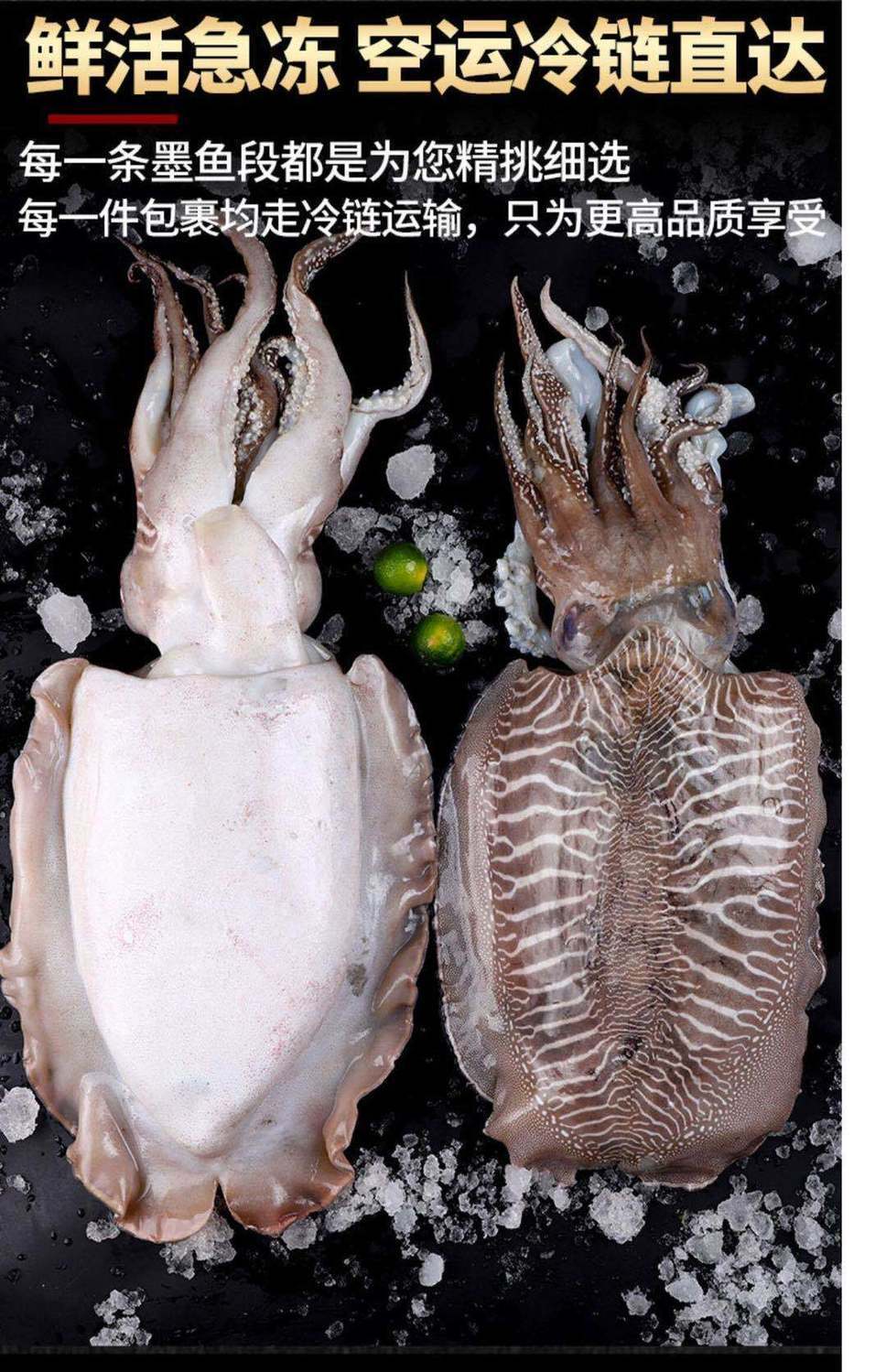 墨鱼鲜活大墨鱼超大新鲜青岛海鲜水产特级目鱼乌贼爆头八爪鱼渝珍