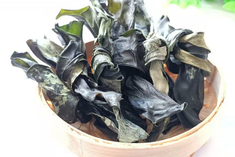 霞浦的海带干海带结500克福建霞浦无沙厚海带片厚海带扣海带结海带扣