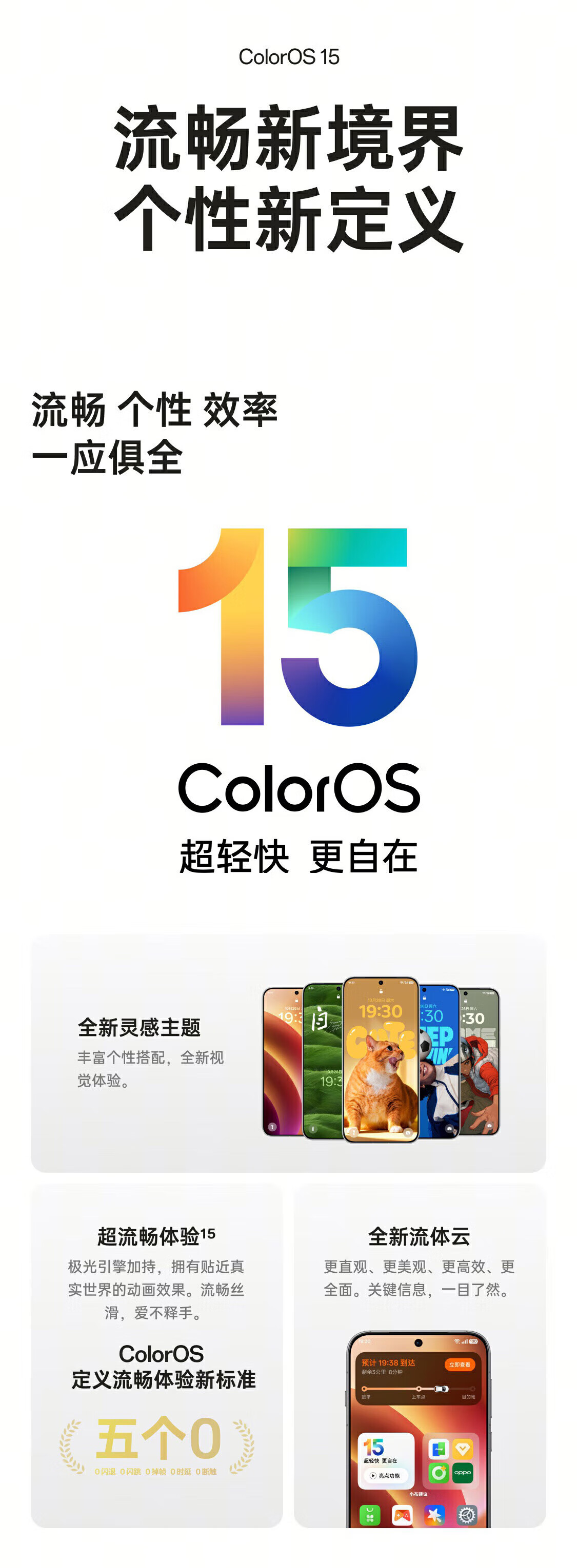 70cddcd9f05245d0.jpg