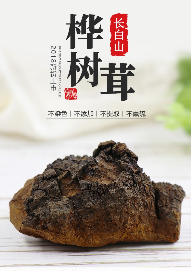 养益君桦树茸500g125克4白桦茸长白山桦树菇菌茶桦褐孔菌灵芝桦树泪