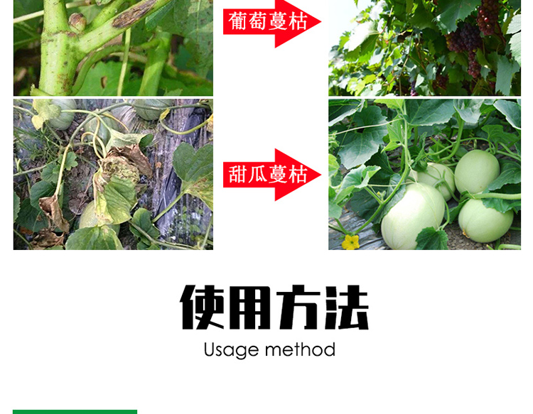 进口蔓枯病特效2号黄瓜西瓜甜瓜蔓枯病瓜类专用药杀菌剂北美农大1瓶