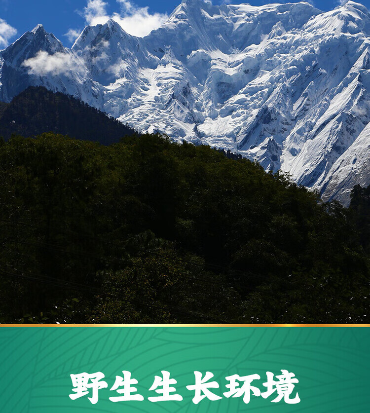 7dd9a610cf7df595.jpg
