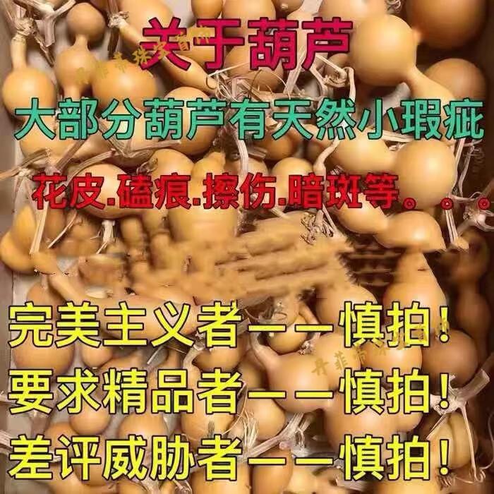 02997df500565d43.jpg