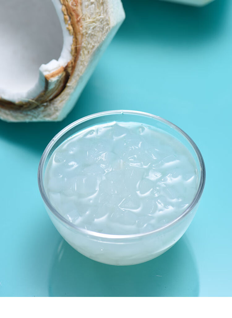 原味椰果粒珍珠奶茶甜品水果捞专用配料椰果肉原料椰子粒果冻布丁26l