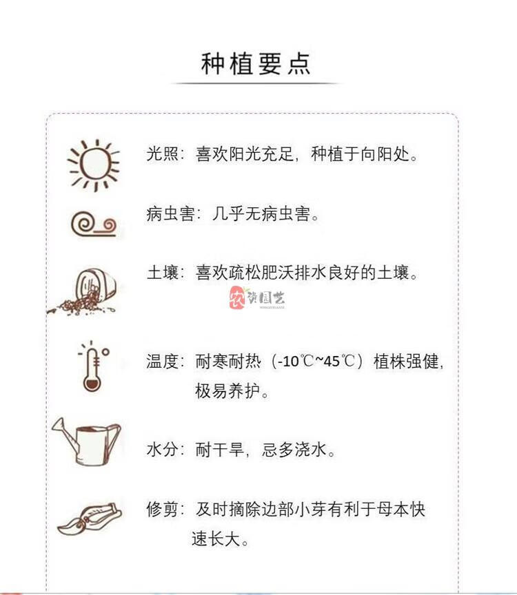 237c61a7306d5749.jpg