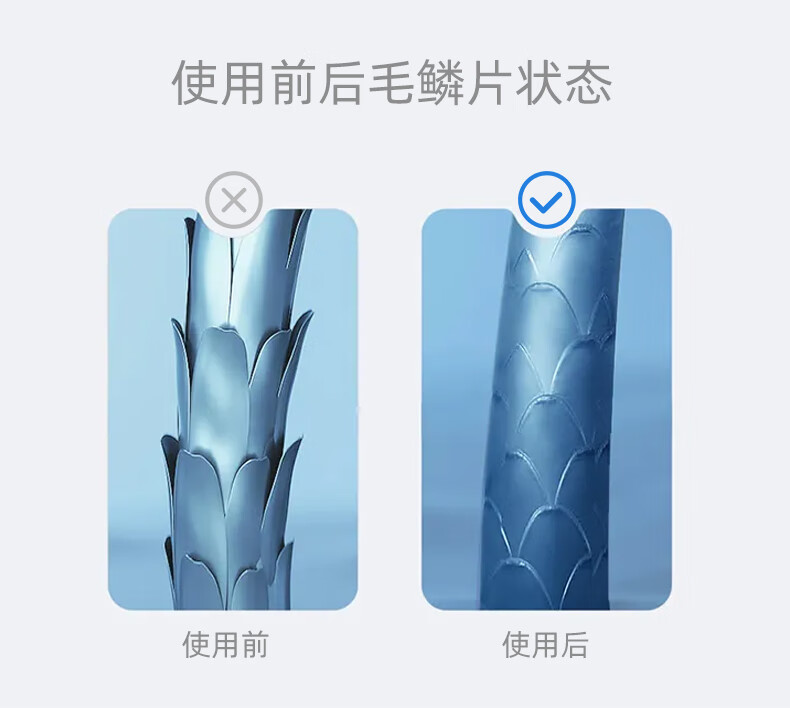 e74b882142194b75.jpg