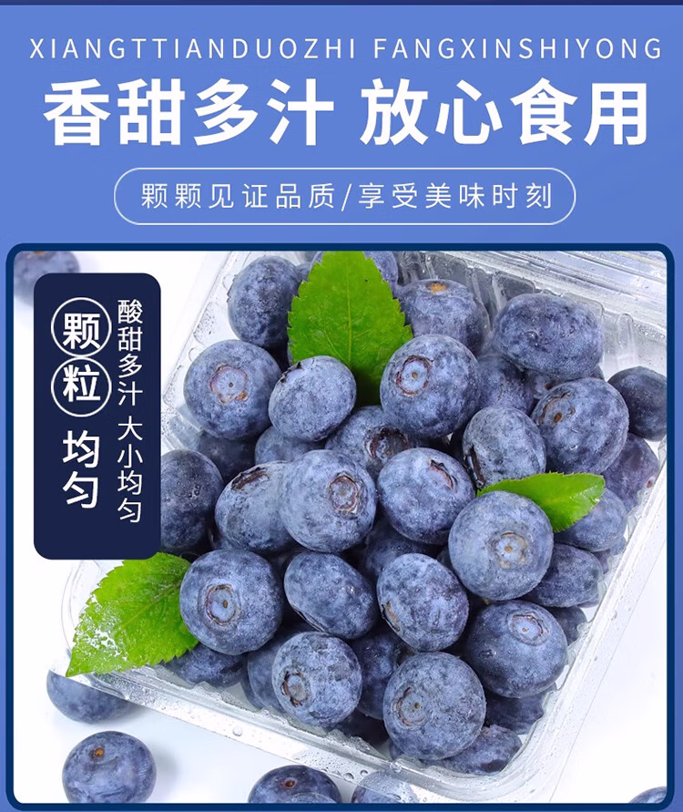 ab37948856d98c89.jpg.avif