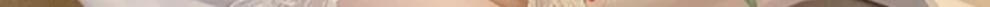 1d40f76d2609d2fd.jpg
