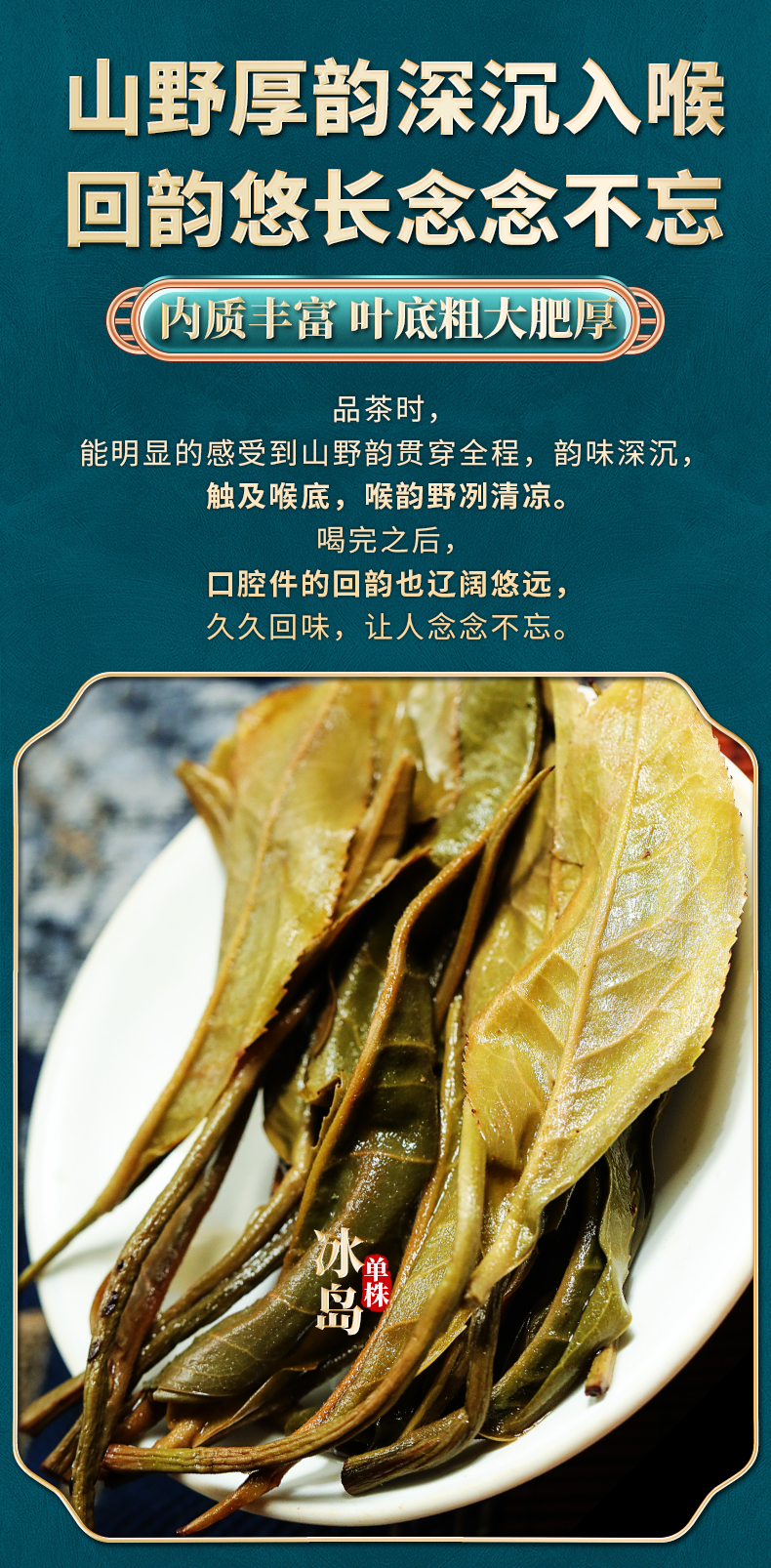 新益号 冰岛单株古树茶生茶散茶2021春茶云南临沧冰岛甜生普500g茶叶