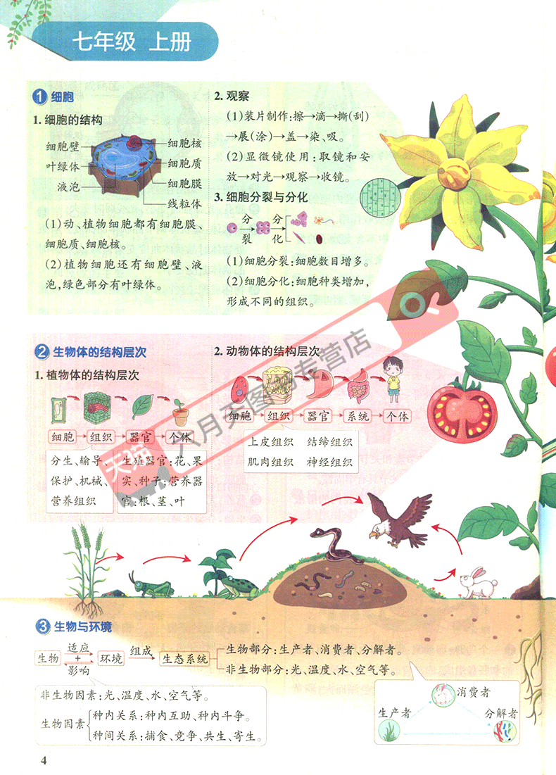 c43328137b158914.png