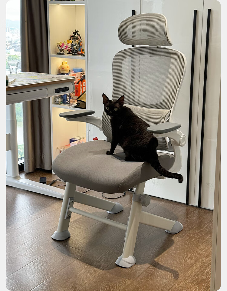 Bajiujian Y7F High School Student Learning Chair, Youth Ergonomic Seat, Biomechanics Office Chair 11