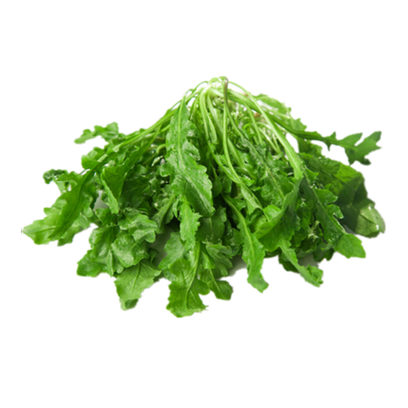 顺丰新鲜荠菜野菜农家蔬菜现挖香荠菜新鲜菜馄饨饺子馅食材3斤