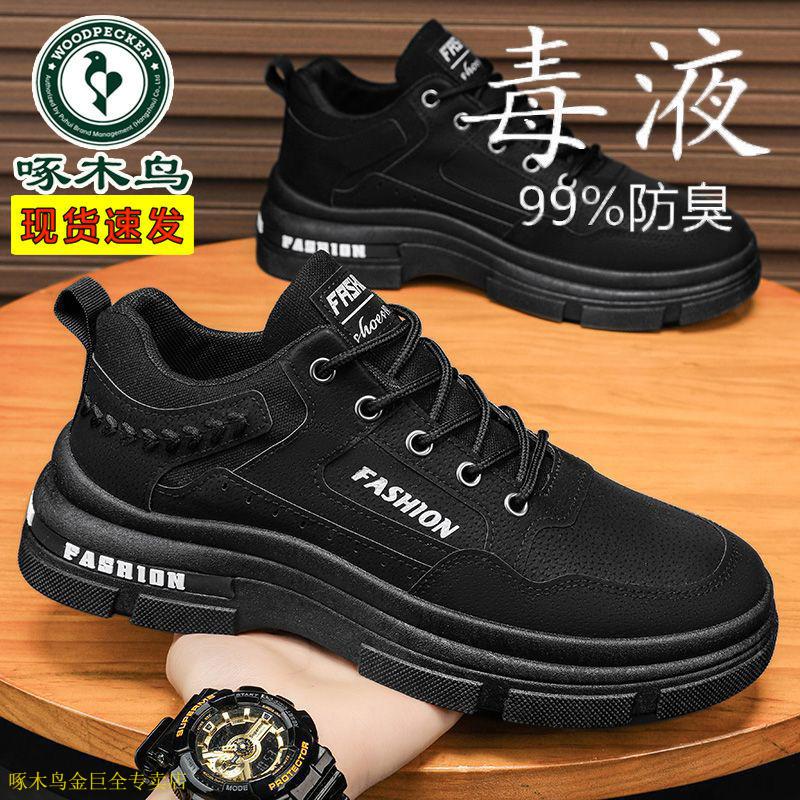 344564a890da59fc.jpg