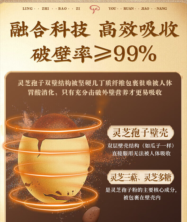 551b69133d7410fa.jpg