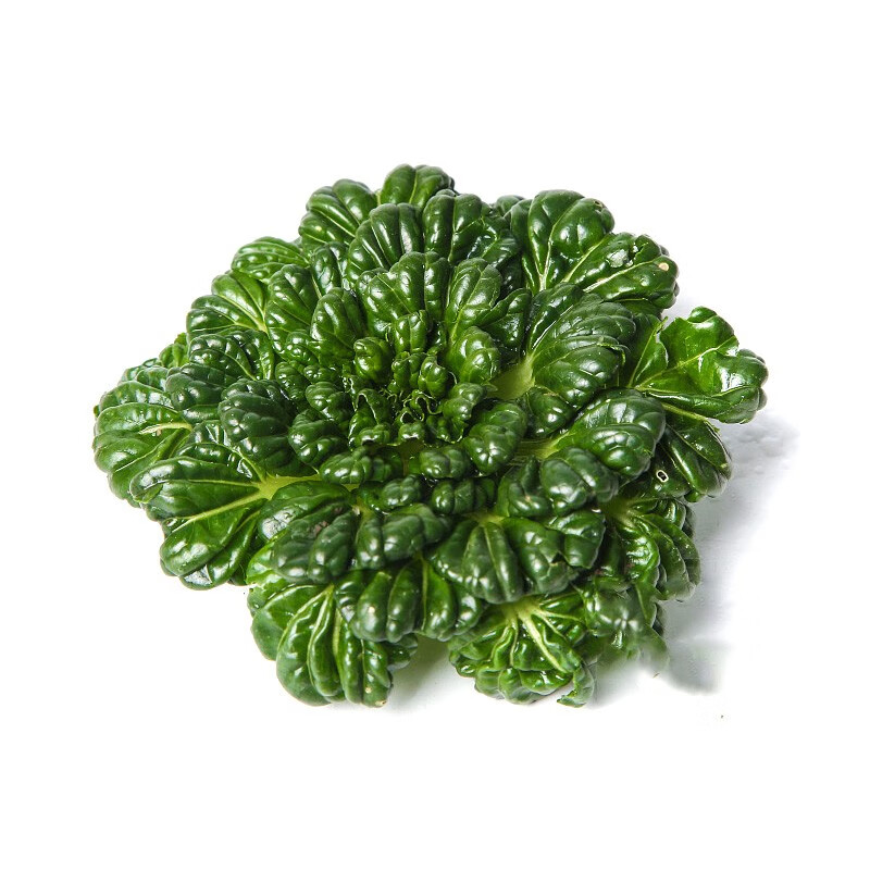 农家露天种植霜冻新鲜采摘趴菜 黑塌菜乌塌塔菜 菊花菜黑心小八叶菜 5