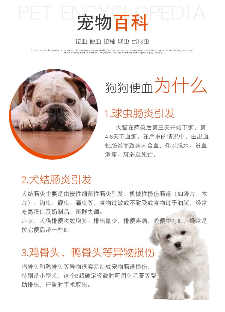 犬下痢血便