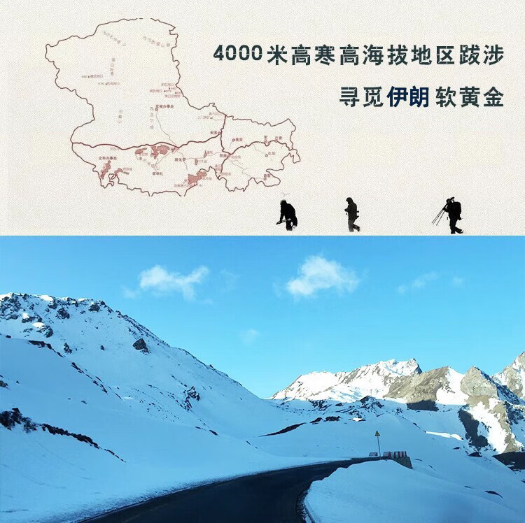 95f912b5d937b00e.jpg