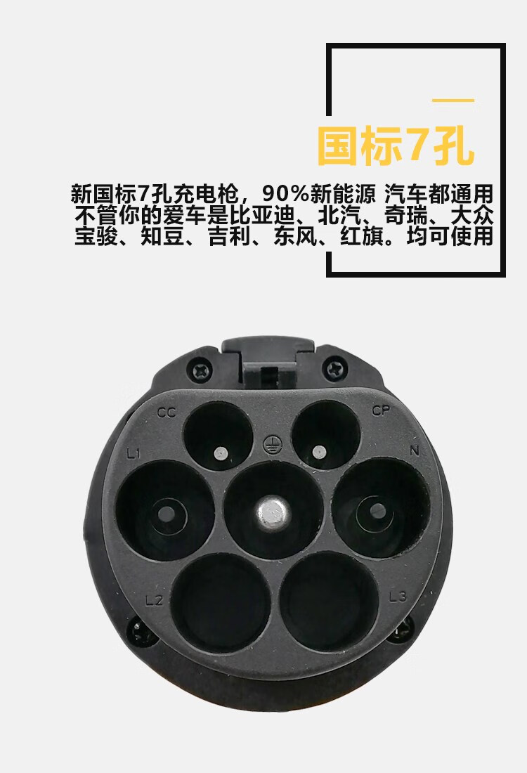 3kw充电器唐dm秦pro宋ev元新能源s2e3家用便携充电桩枪线 15米2.