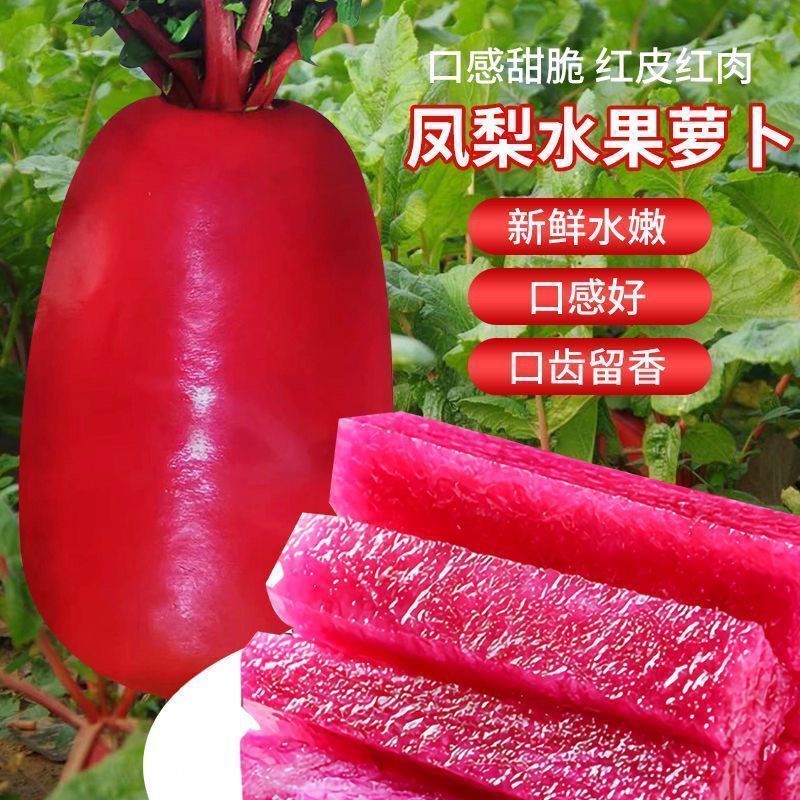 a00618ee-972a-4c39-998b-72012c788c97.jpe