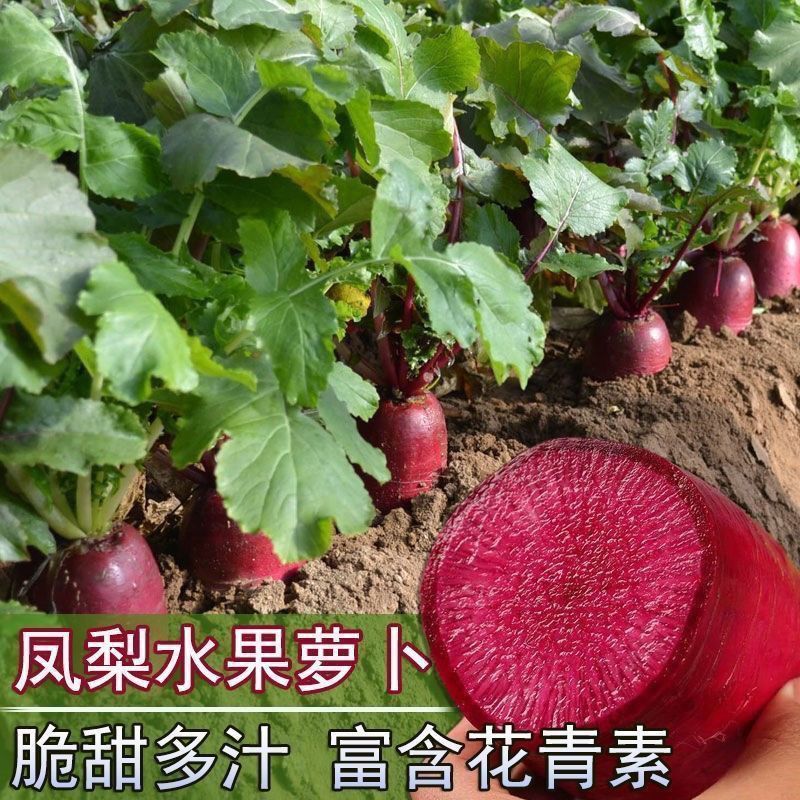 30ca33ed-80e8-4569-8cda-d9d85c797b2f.jpe