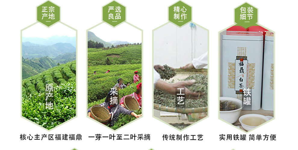 2016年白牡丹白茶价格
