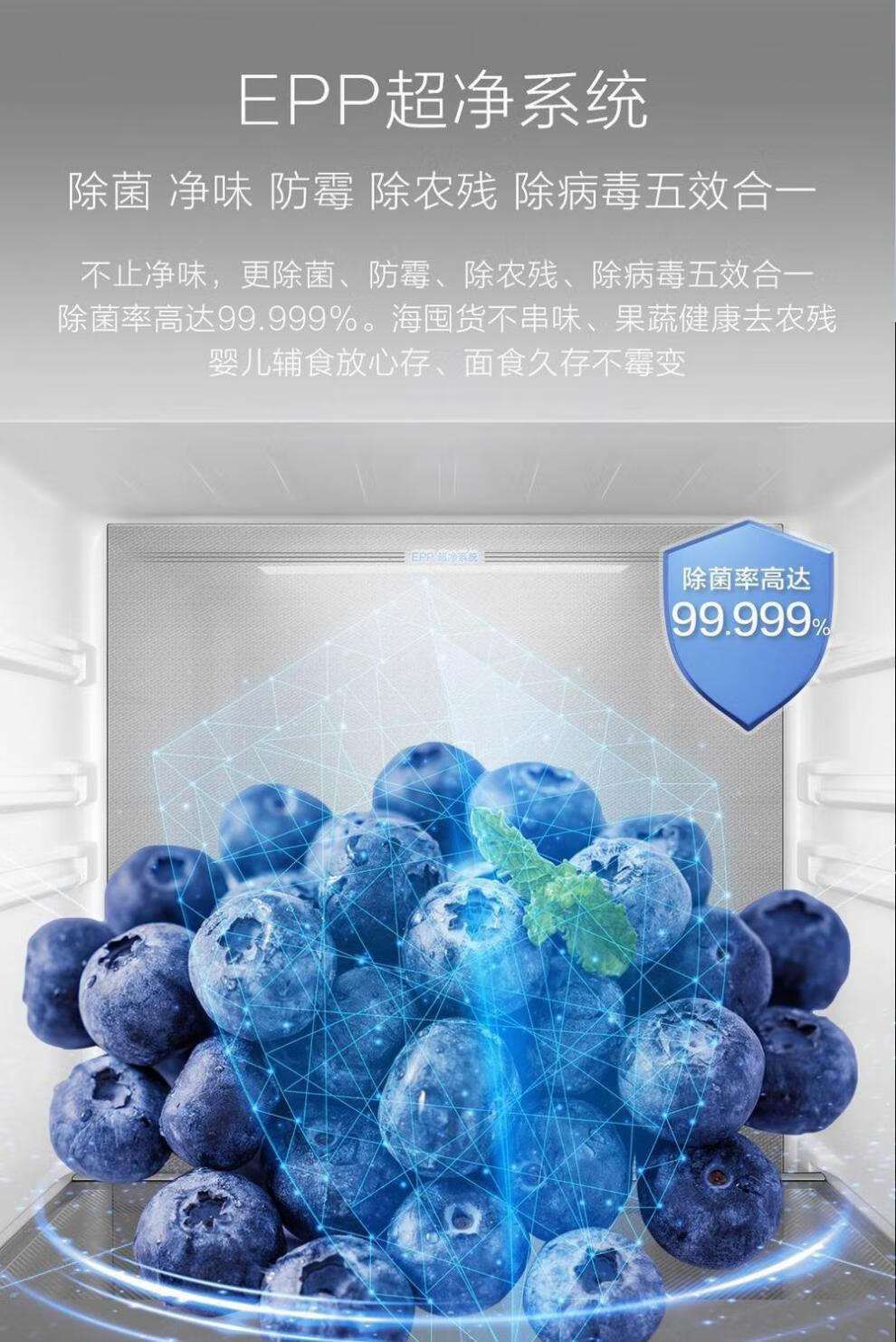 855a40f88dc91d01.jpg