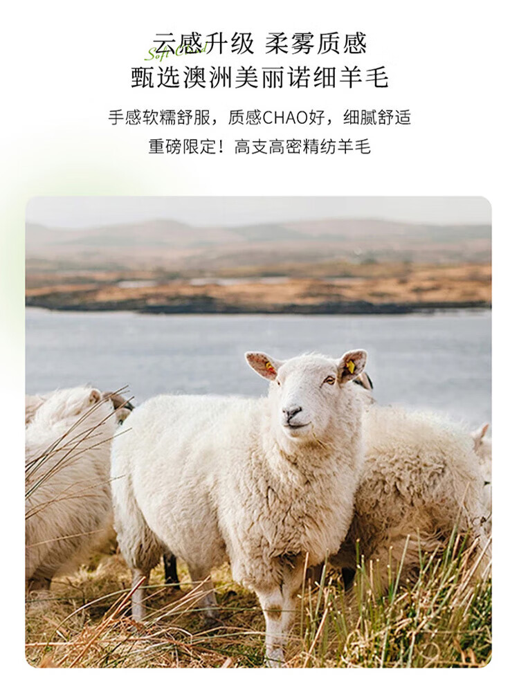 41d29eeae690cdcd.jpg