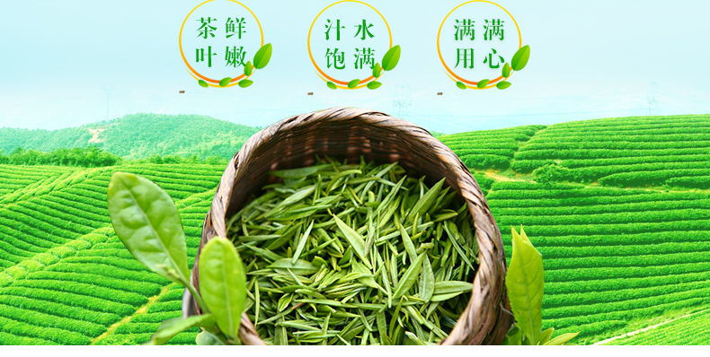 張一元茶葉仙芝竹尖2021年新綠茶濃香型春茶袋裝茶 50g【圖片 價格 品