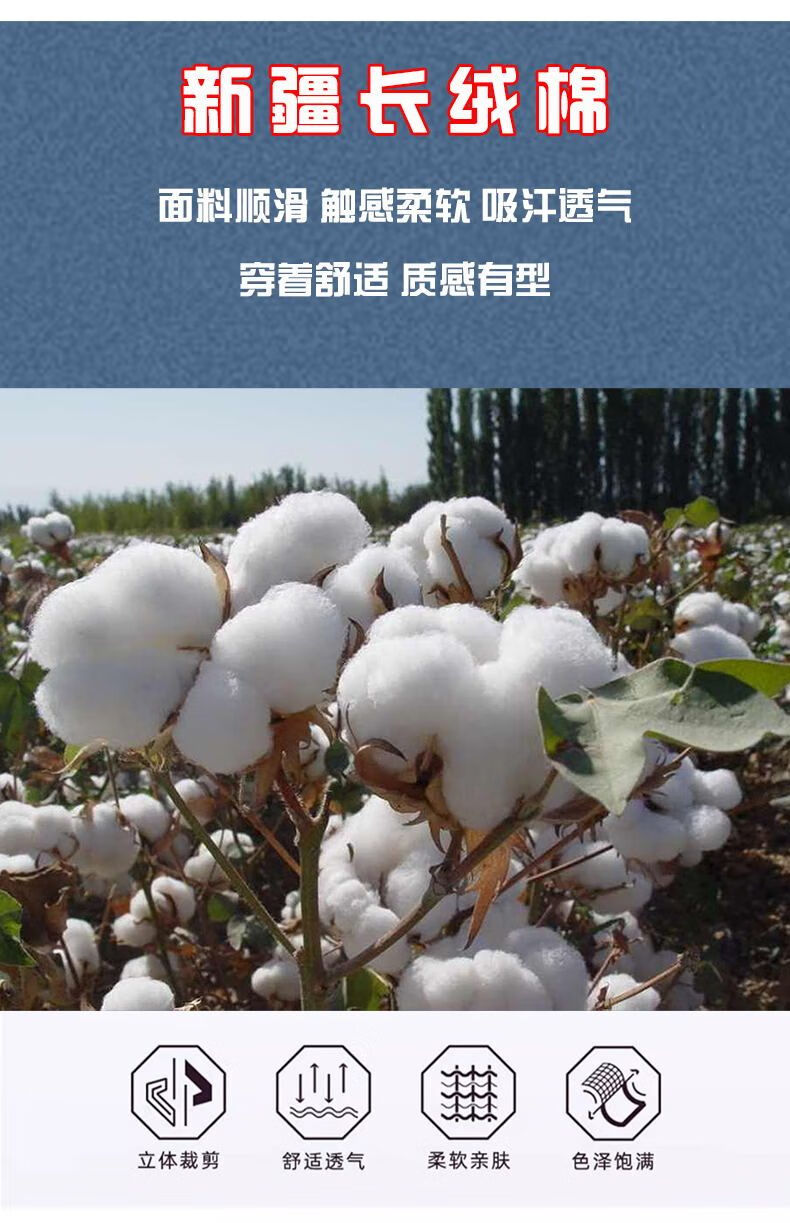 ffcf6e20c8987d90.jpg