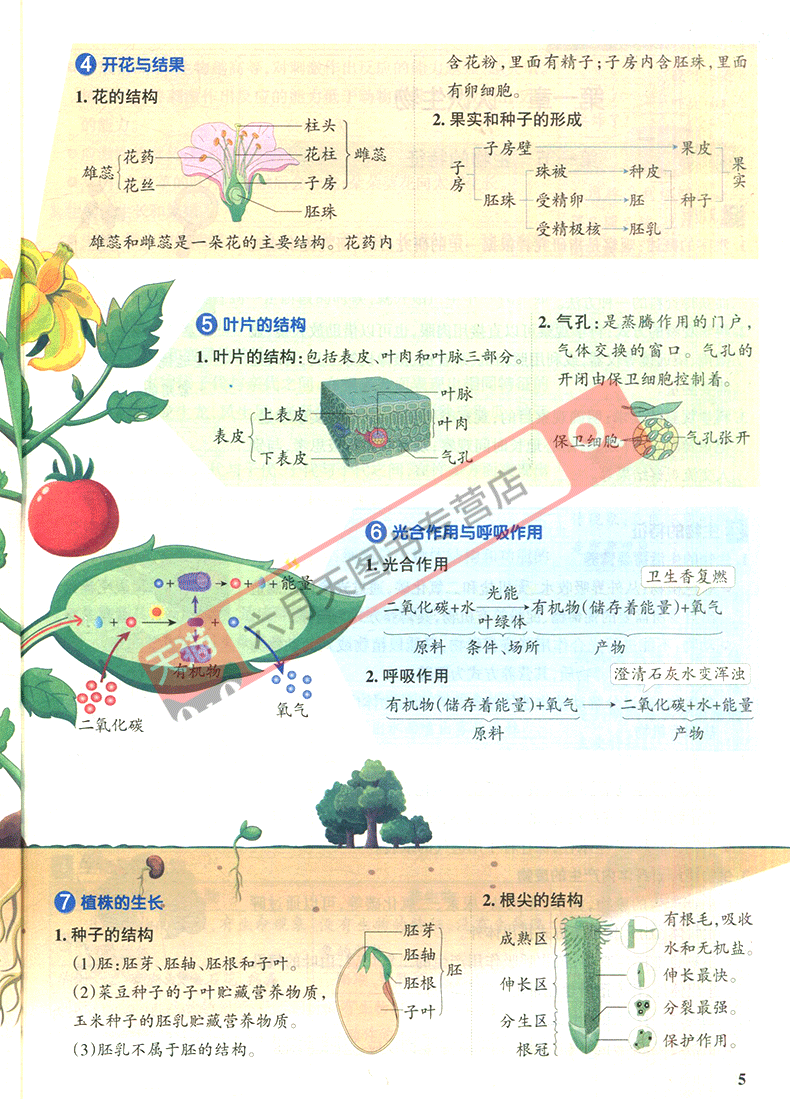 62137973643dbc77.png