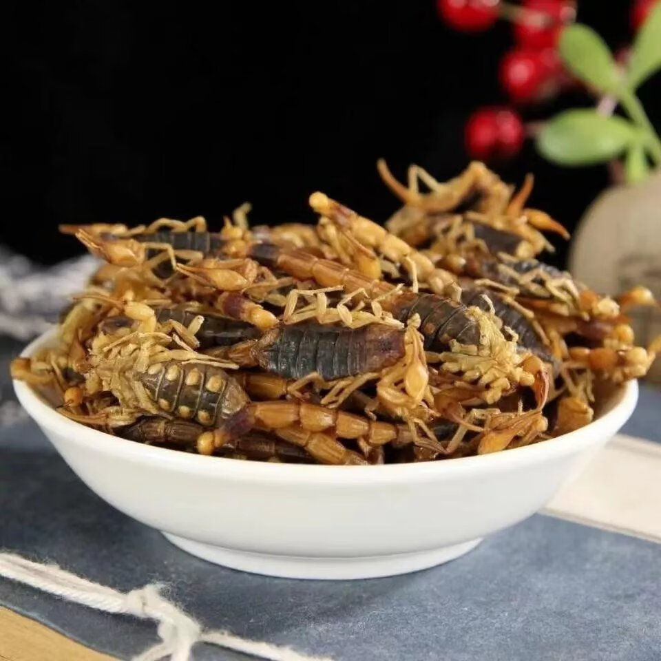 北京同仁堂原料沂蒙全蝎 全虫蝎子清水干货 蝎子整条公蝎子泡酒煲汤中